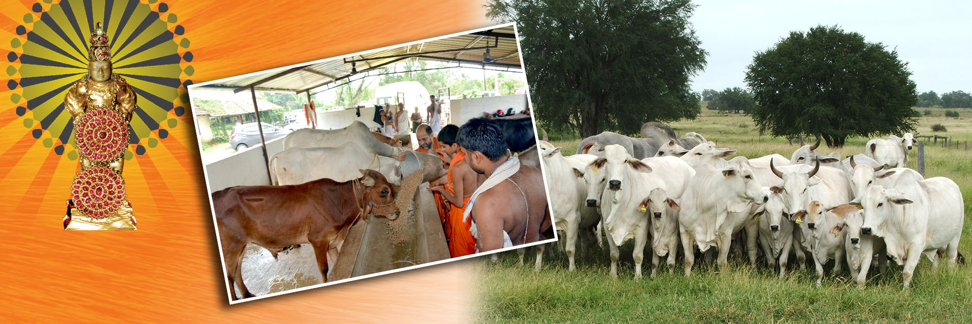 Gau Shaale